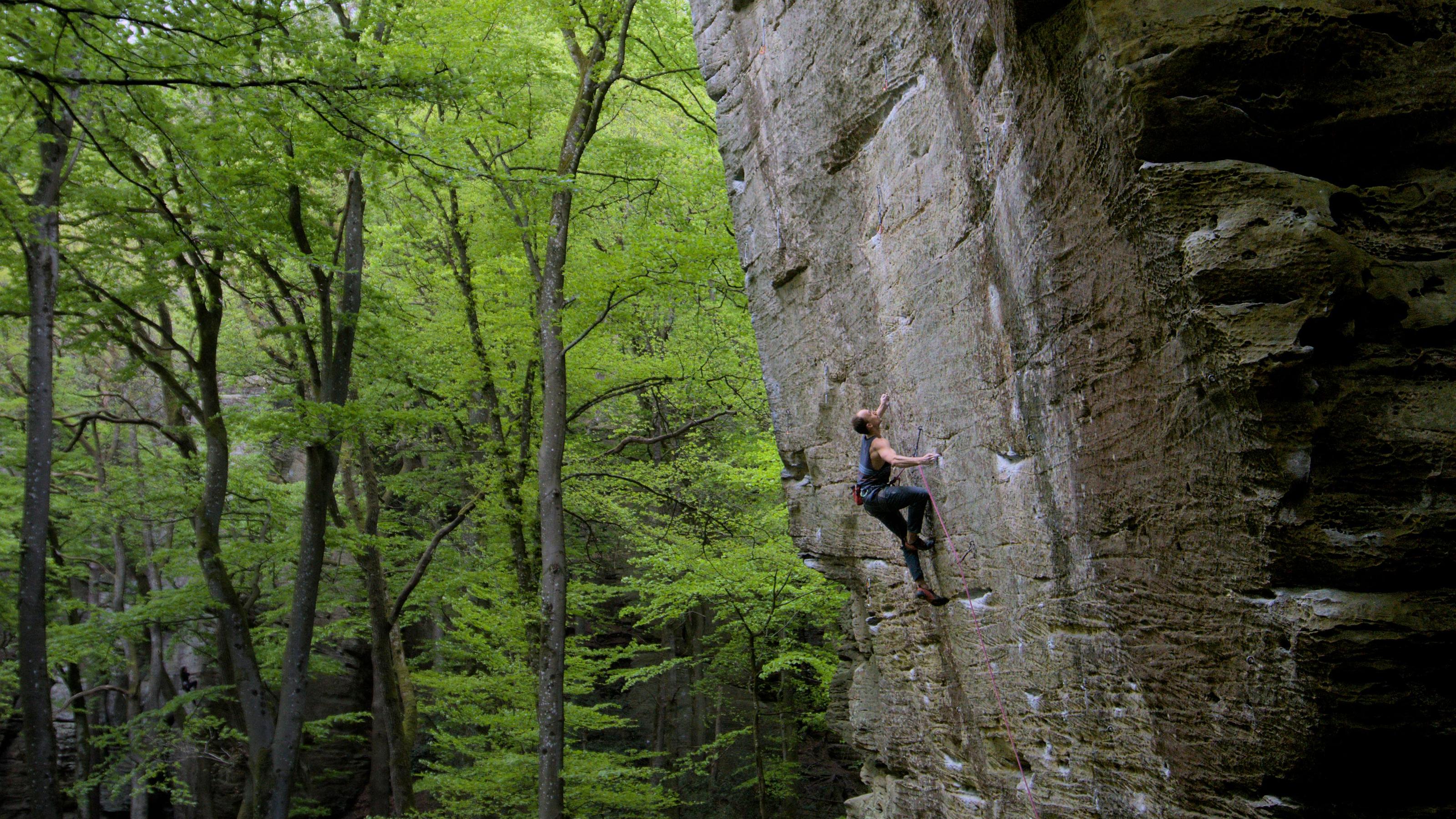 Climber on a tall rock wall beside a bright green forest